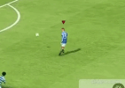 fly.gif