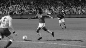 pele.jpg