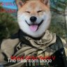 Shiba Snake